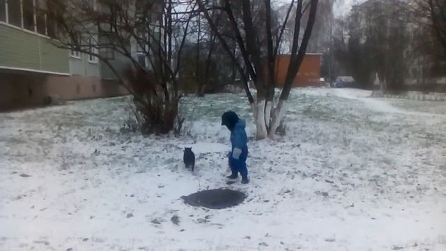 Донести кошку до коляски смотреть онлайн