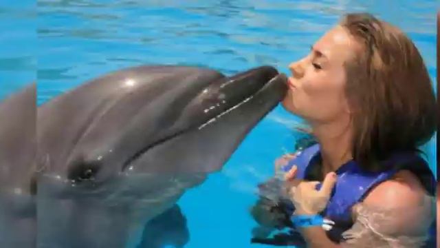 Дельфины смотреть онлайн