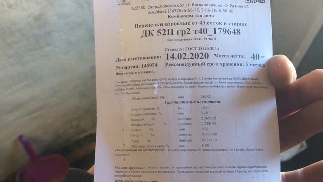 Перепела. Комбикорм для перепелов Богданович ДК 52П. Ниппельное поение для перепелов. смотреть онлайн