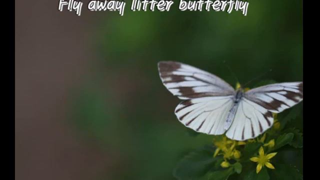 Fly away little butterfly 오카리나 최은희 смотреть онлайн