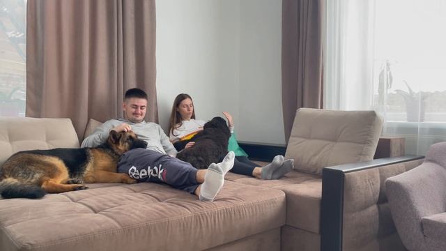 How we relax when we have 3 Dogs! смотреть онлайн