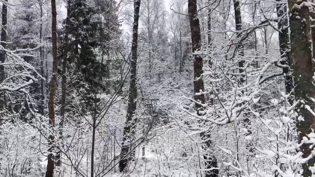 Сказочный зимний лес Fairytale winter forest смотреть онлайн