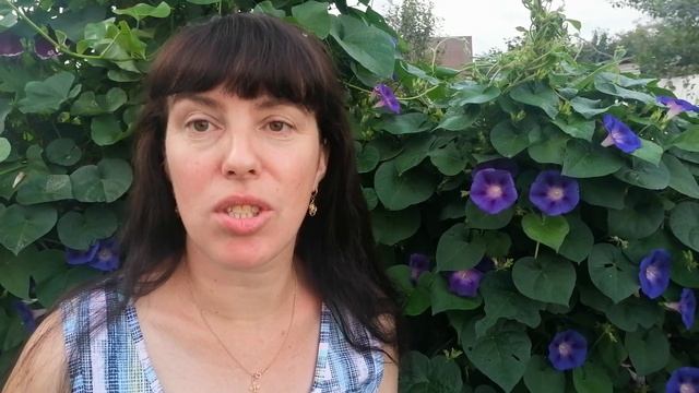 Канала"Моя Усадьба" - больше не будет. Новое название канала"Из Деревни В Станицу". смотреть онлайн