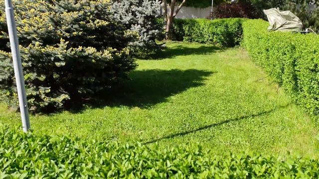 первая стрижка газона 2021 смотреть онлайн