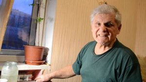 КАКИЕ ДЕРЕВЬЯ ПОСАДИТЬ НА УЧАСТКЕ