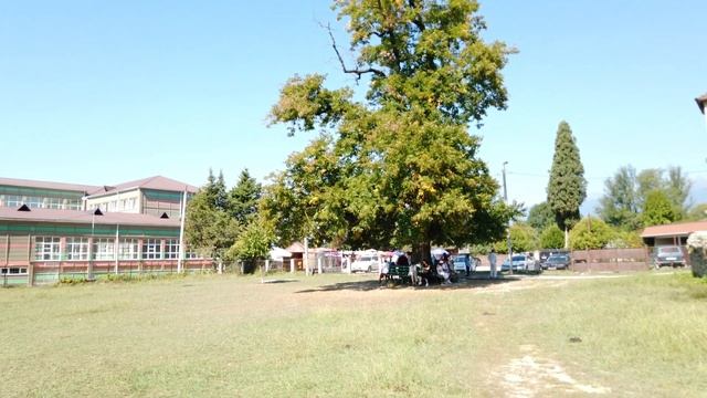 Храм Успения Богородицы в Лыхны. "Дворец на костях" - загадочные развалины княжеских владений Чачба смотреть онлайн