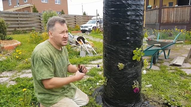 Как сделать вертикальную клумбу своими руками? Вертикальная клумба из сетки