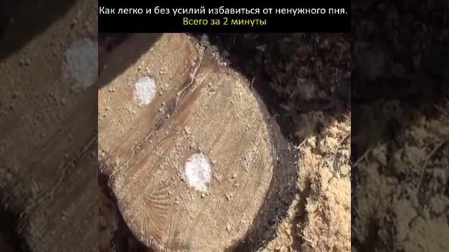 корчевание пней?