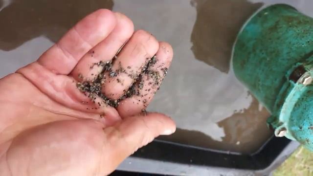 Крупная фракция пескогрязи из скважины смотреть онлайн