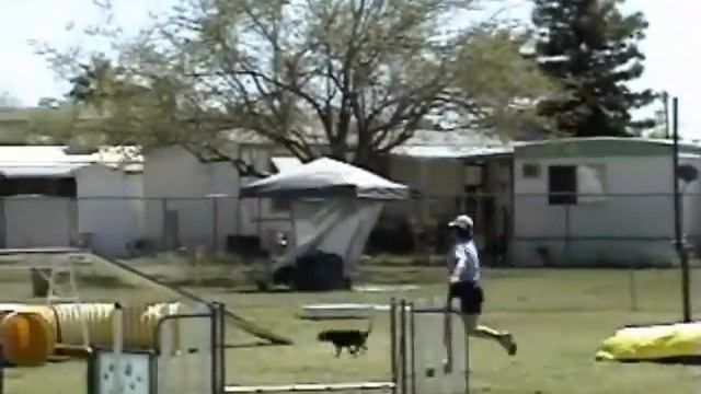 Grace AKC Tucson Mar09 смотреть онлайн
