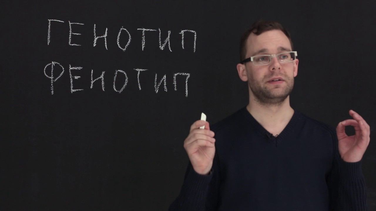 3.2 Первый и второй законы Менделя. Естествознание - 10 - 11 класс смотреть онлайн