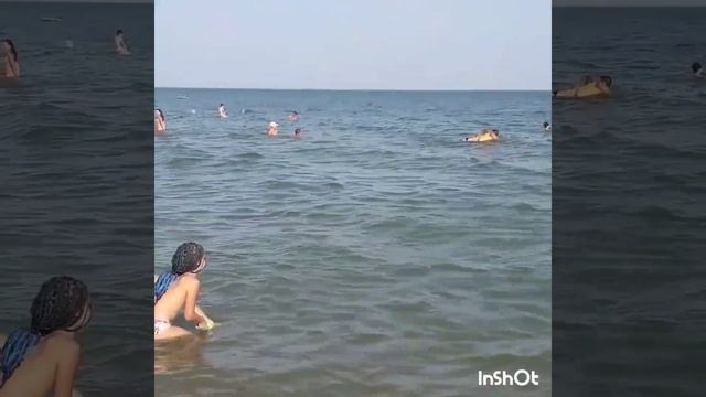 Морской бой. Маричка и Катя против папы. смотреть онлайн