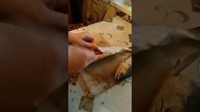 Как выбрать Горбушу с икрой смотреть онлайн