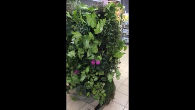 Двухсторонний вертикальный оздоровительный сад смотреть онлайн