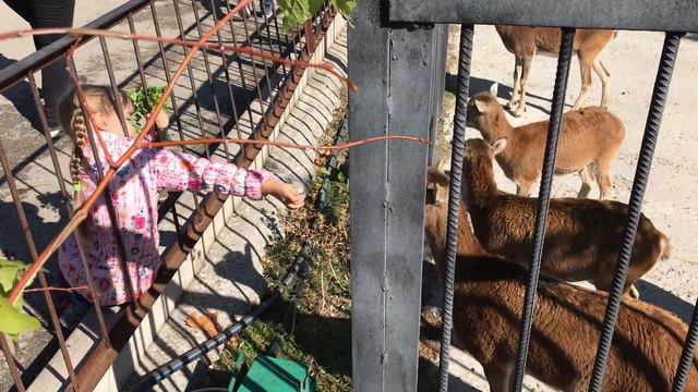 Зачем лишили детей этой радости? смотреть онлайн