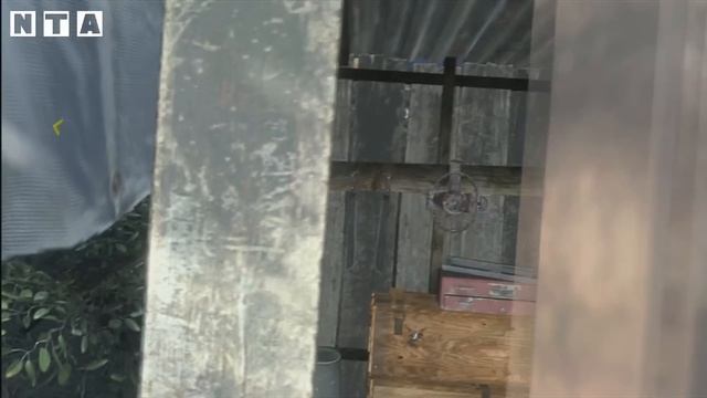 Call Of Duty Black Ops 2 - Giant Accomplishment Guide (PYRRHIC VICTORY) смотреть онлайн