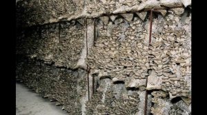 Выращивание вешенки