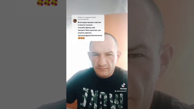 Как отучить щенка кусаться??? #дрессировкасобак #послушание #послушнаясобака смотреть онлайн