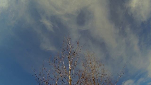 14 - 15 05 2020г дорога, силос, дача дача под Архангельском смотреть онлайн