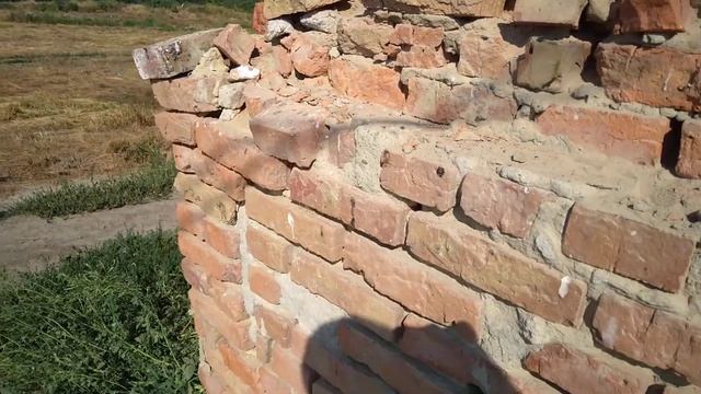 Ферма 1.1 смотреть онлайн