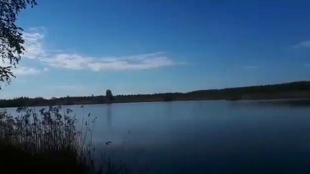 отдых рыбалка 13.05.2023 г п. Лепсари смотреть онлайн