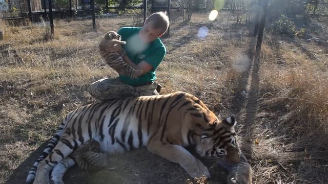 In an aviary with a tigress! The kids OPENED THEIR EYES! смотреть онлайн