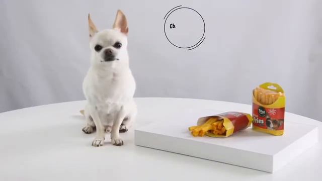 Лакомства TRIOL FUN FOOD для собак смотреть онлайн