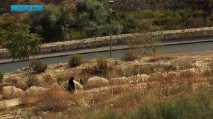 ИЕРЕМИЯ. Пророки