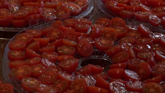 Помидоры на зиму ТОЛЬКО ТАК! Новый помощник на кухне сушилка Великие Реки Волга-8. смотреть онлайн