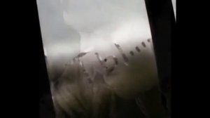 Сергей Жуков "На 10 лет назад" (кавер)