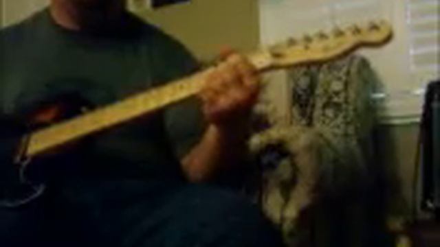 Fender Standard Telecaster & Frontman 15R #3 смотреть онлайн