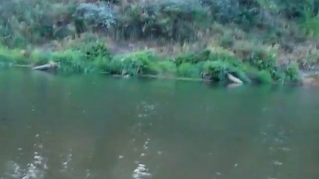 УТРО после сна бериг реки медведица смотреть онлайн