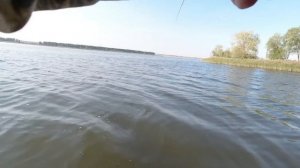 Ловля щуки в начале сентября. Лучшая рыбалка этого года!