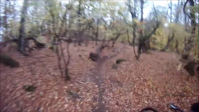 Просмотр трассы часть Лаванды смотреть онлайн