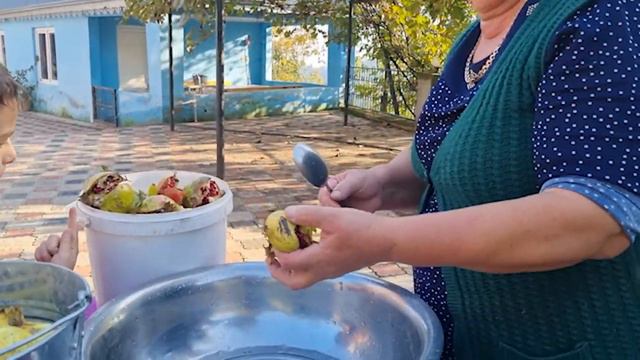 КАК ПРАВИЛЬНО ХРАНИТЬ ГРАНАТ ПЕРЕД ПРИГОТОВЛЕНИЕМ НА ЗИМУ Азербайджанская Кухня Деревенская Кухня смотреть онлайн