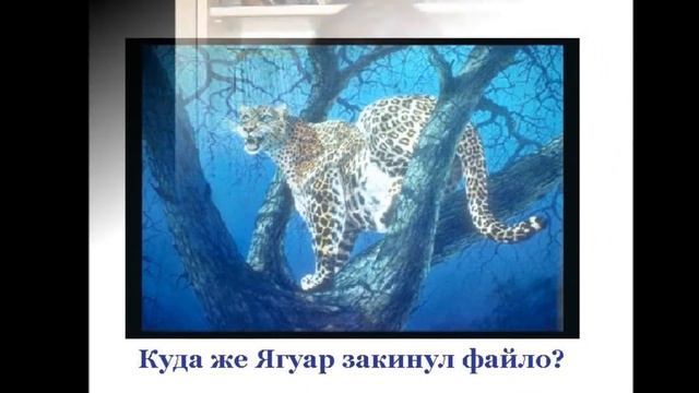 Ягуар Т ы обещал смотреть онлайн