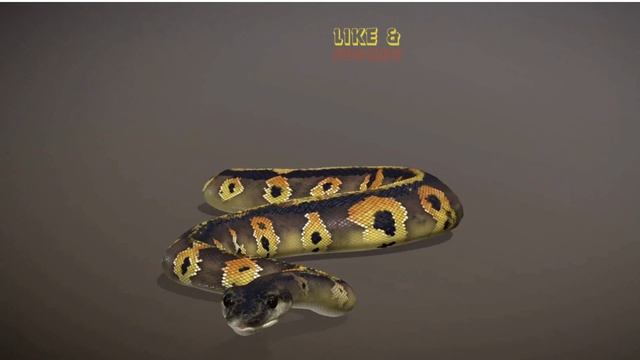 3D Python: Unlocking New Dimensions смотреть онлайн