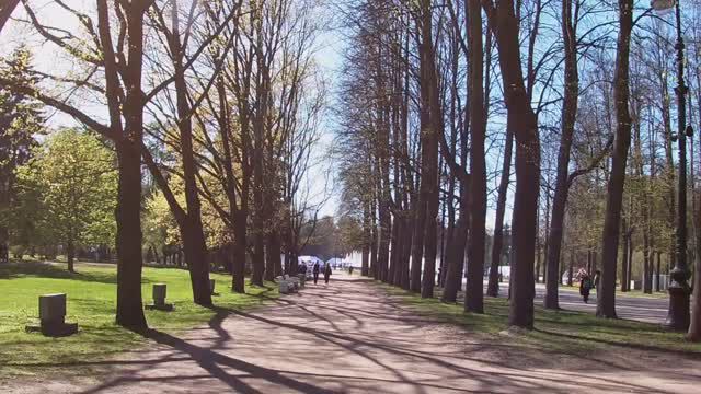 Приморский парк победы / Санкт-Петербург смотреть онлайн