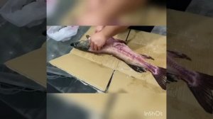 Как почистить щуку. Филе щуки за 5 минут. Чистка разделка