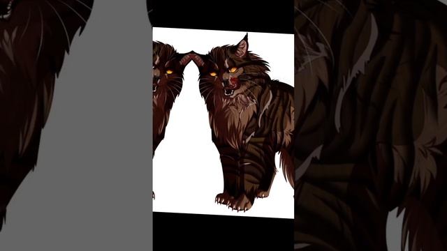 Заказ коты-воители|| #котывоители #эдит #рек @-_-Grey_Cheburek смотреть онлайн