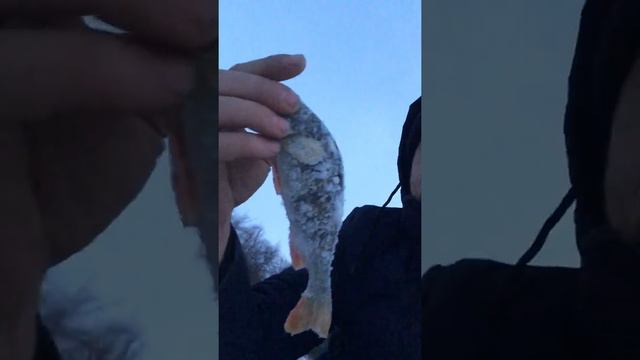 Рыбалка Первый лёд Башкирии смотреть онлайн