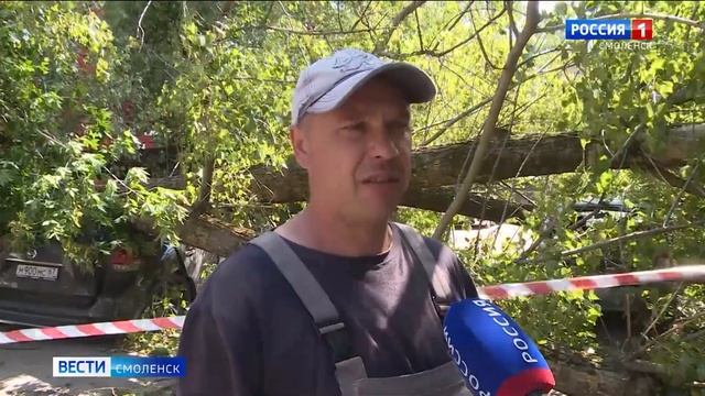 На Смоленщину обрушился ураган смотреть онлайн