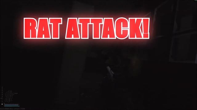 How to PROPERLY RAT ATTACK in Tarkov смотреть онлайн