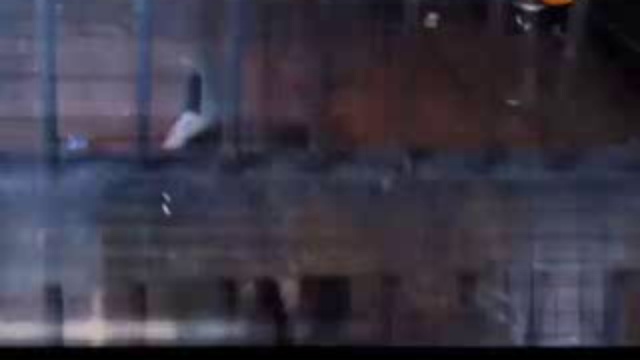 Специальный проект - Код Дарвина: Проклятье обезьян смотреть онлайн