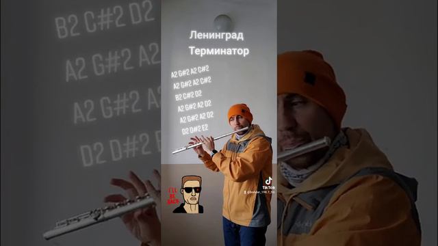 Ленинград - Терминатор на флейте смотреть онлайн