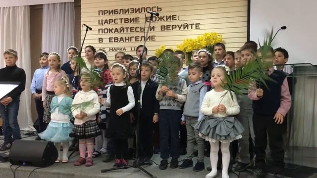 Песня: Где растут маслины!))Детский Хор!)) смотреть онлайн