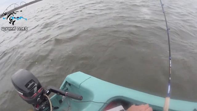 Рыбалка троллингом в Молчаново, на Оби (04.10.2018) смотреть онлайн