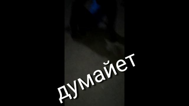 Какой вам нравится этот или другой смотреть онлайн
