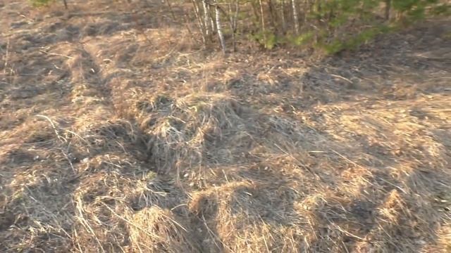 Первый вальдшнеп 2016 ▶ Лучший патрон для ТОЗ-34 смотреть онлайн