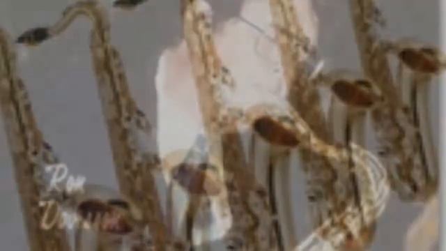 RON DAVISSON BIG BAND playing 'I've Got You Under My Skin' смотреть онлайн